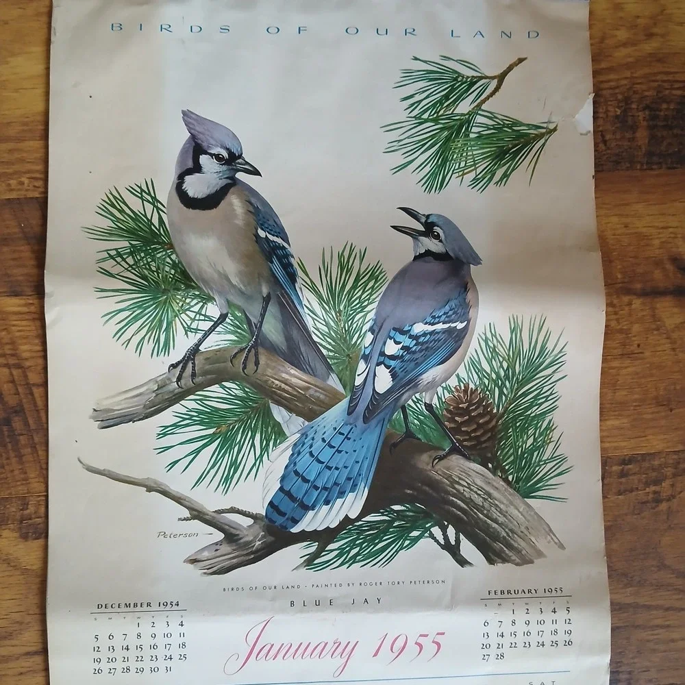 Vtg 1955 Birds Of Our Land Advertising Calendar Morrell Pride Meats Recipe READ